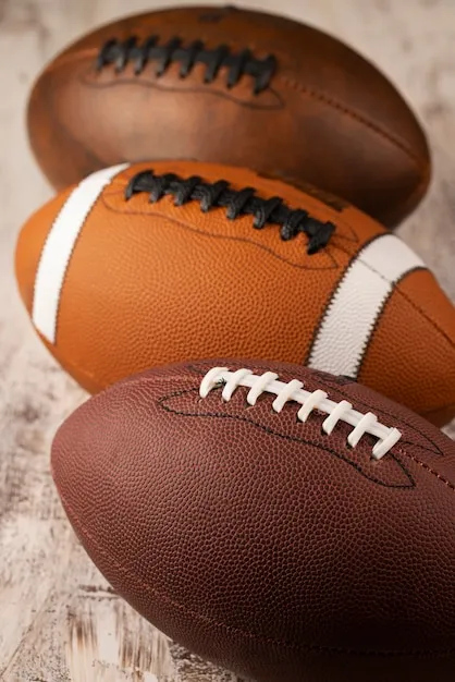 官方入口与访问稳定性